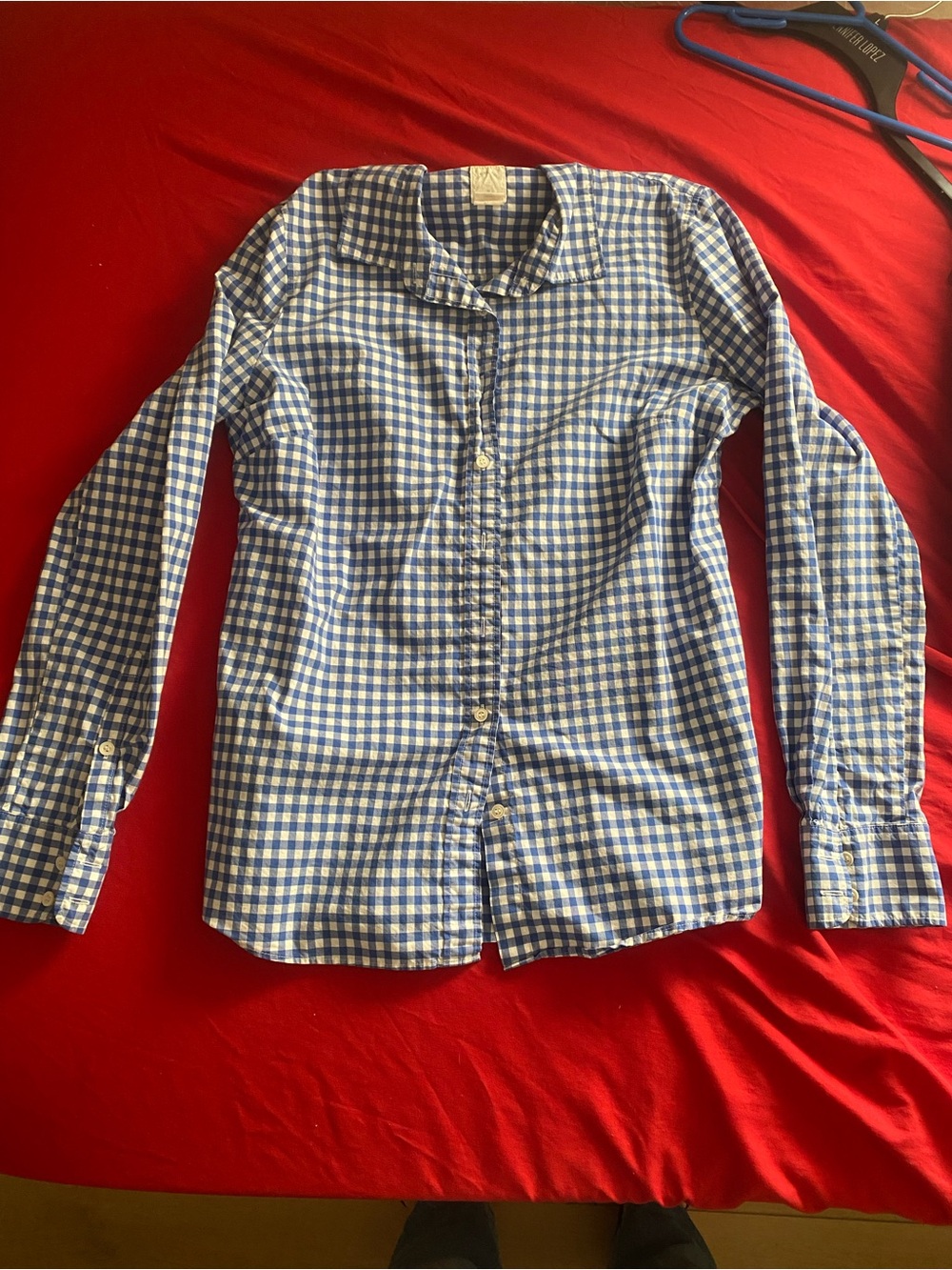 J. Crew Blue and White Gingham Button-Down Shirt